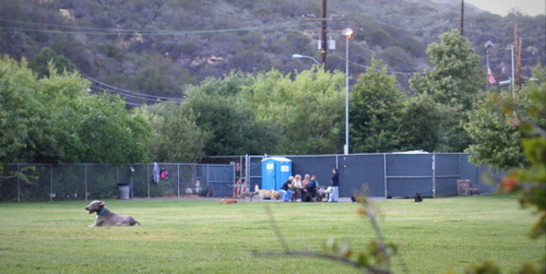 www.trailingfriday.com - May 2014 088