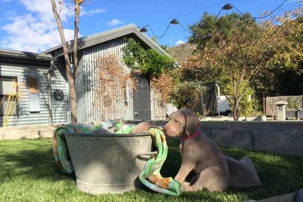 IMG_5225