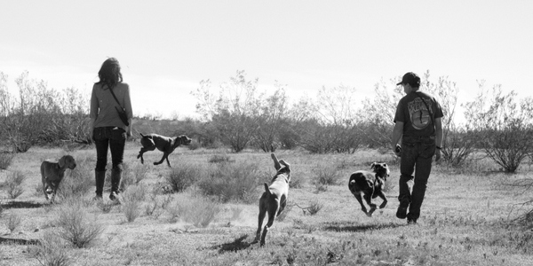 www.barrettweimaraners.com 2015-02-21 026