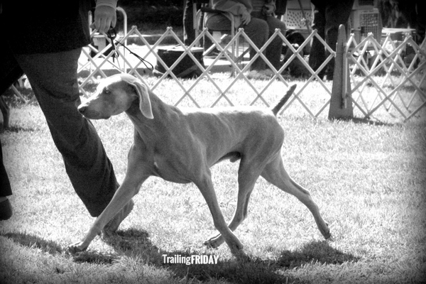 www.trailingfriday.com 2015-03-22 092