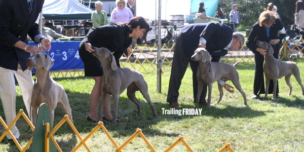 www.trailingfriday.com 2015-03-22 154