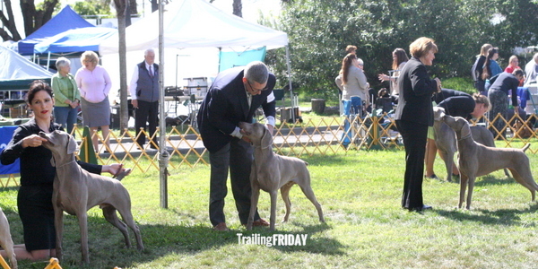 www.trailingfriday.com 2015-03-22 178