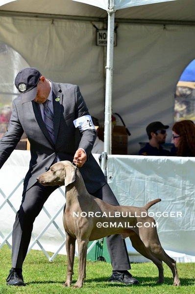 2015-07-13_Carmel_IMG_7867
