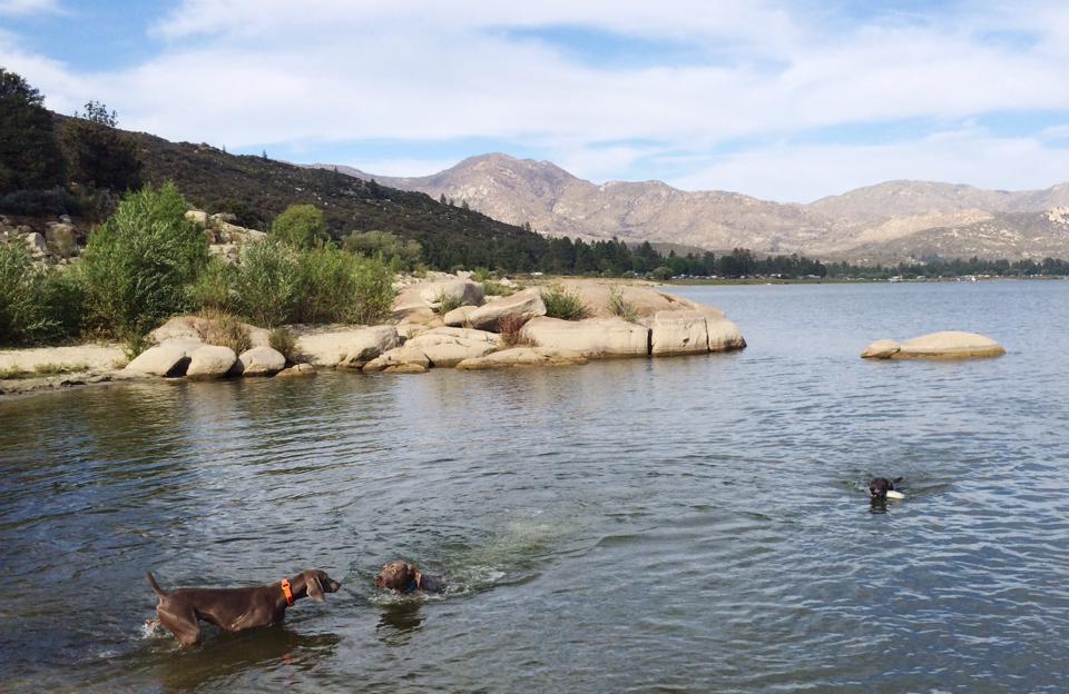 Boulder at Lake Hemet 4