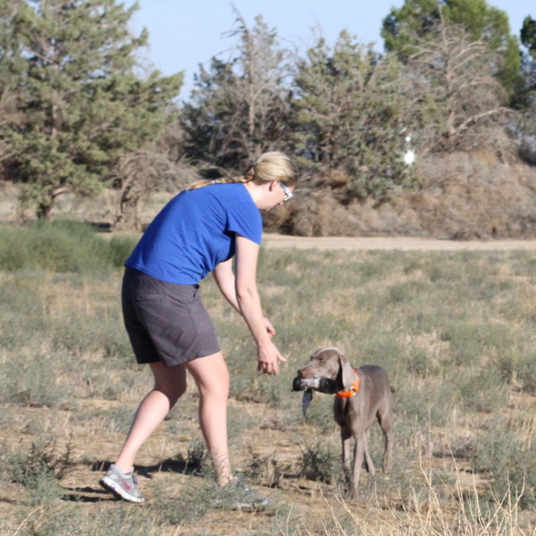 www.barrettweimaraners.com 2015-09-19 317