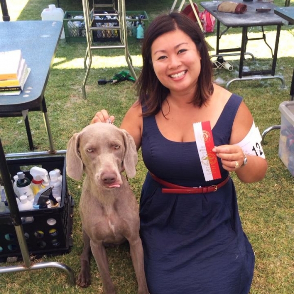 2015-07-12_www.barrettweimaraners.com_Gracie-01