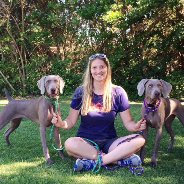 2015-07-26_www.barrettweimaraners.com_Gracie-01