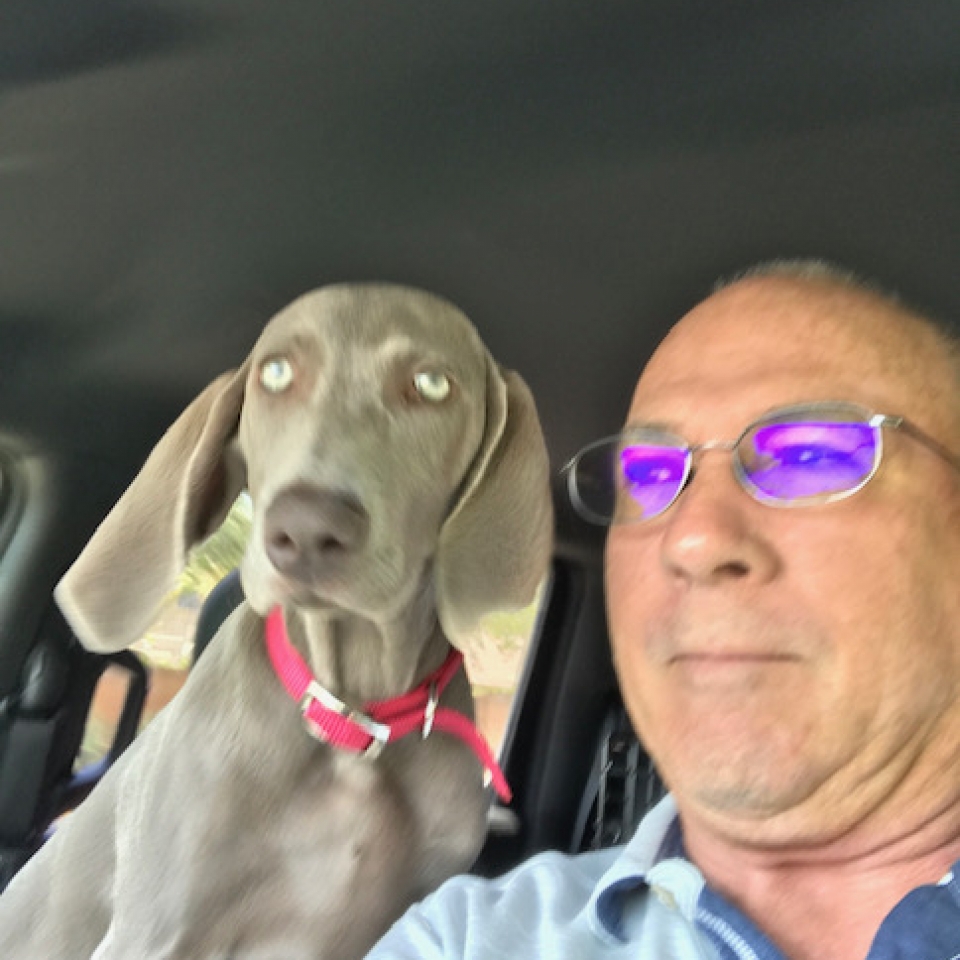 www.barrettweimaraners.com_Barrett Tearin’ offtha Two Trax_03_Car Time with Dad