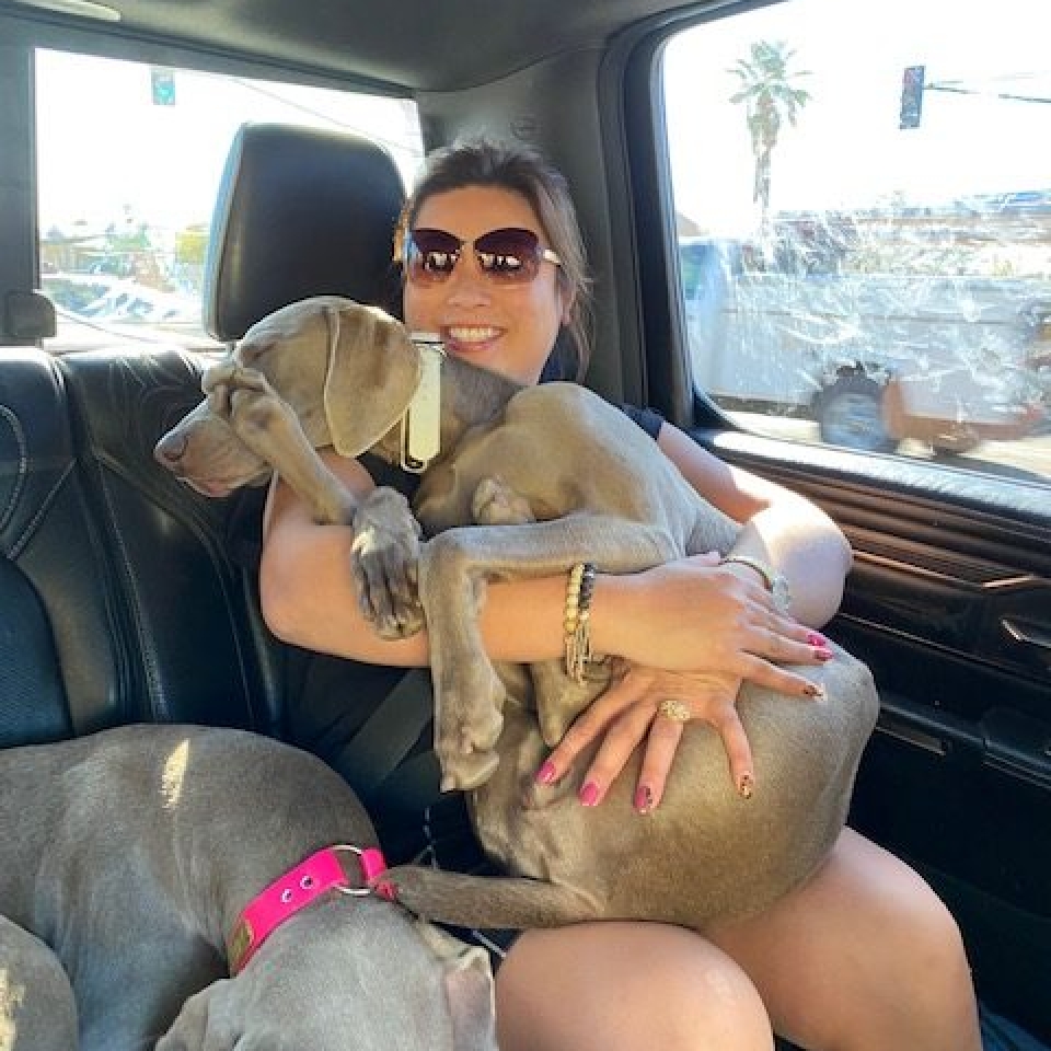 www.barrettweimaraners.com_Barrett Tearin’ offtha Two Trax_38_Kim