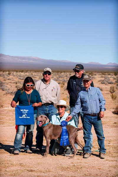 www.barrettweimaraners.com_2020-11-12_IMG_6618