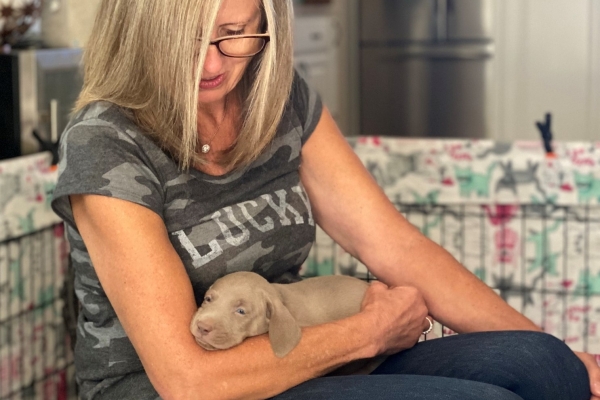 www.barrettweimaraners.com_Baja-Brandy_2021-06-12_Day-33_09