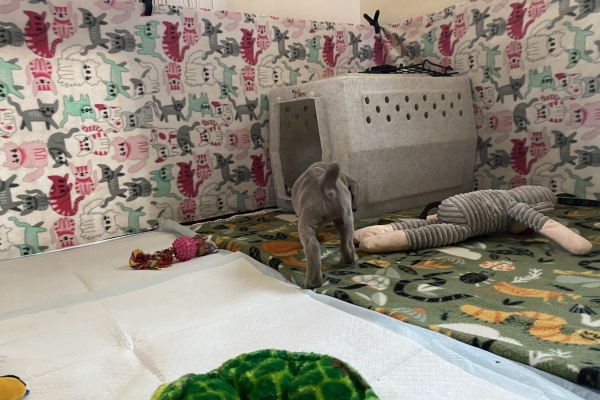 IMG_5256