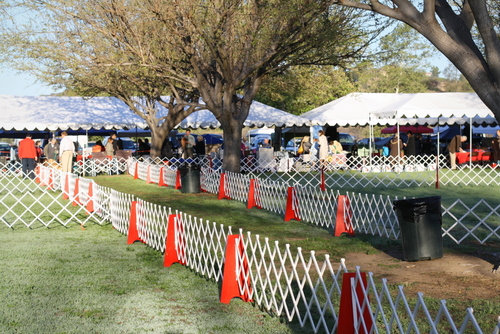 www.barrettweimaraners.com - Bates Nut Farm Dog Shows - March 2014 - 002